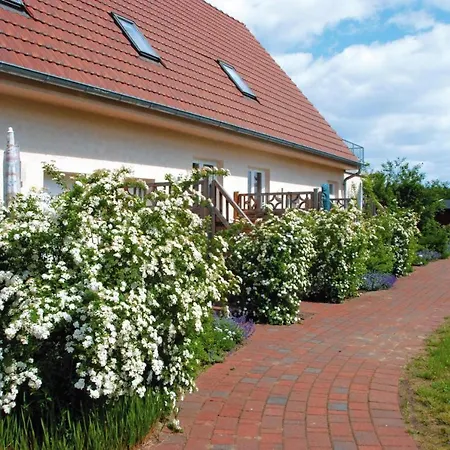 Holiday Flat Buchholz Am Muritzsee - Dms021065-p *